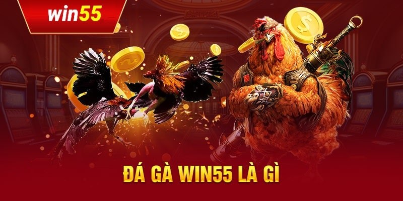 Giới thiệu đá gà Win55