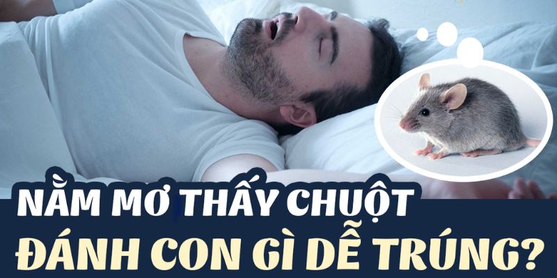 Giải mã tất tần tật ý nghĩa mơ thấy loài chuột